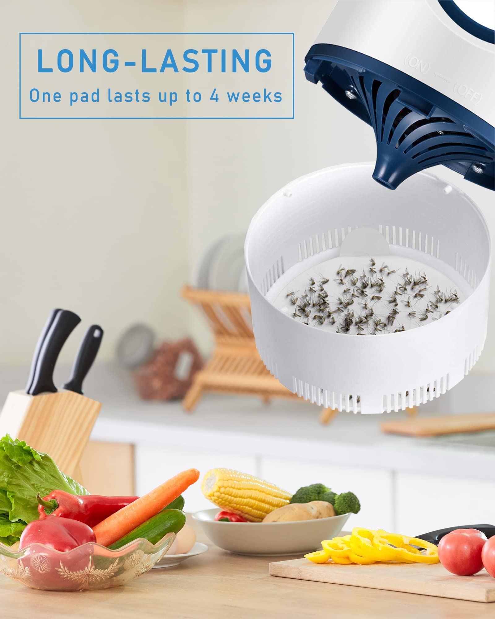 Dichroma glue boards feature a strong adhesive that traps tiny insects.