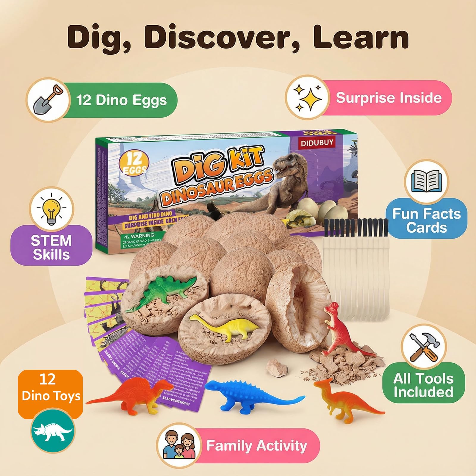 DIDUBUY Learning Cards featuring dinosaur facts supporting curiosity during play