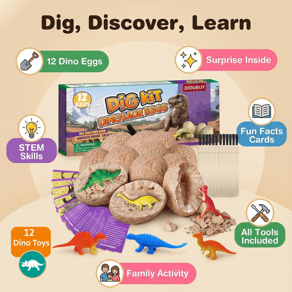 DIDUBUY Learning Cards featuring dinosaur facts supporting curiosity during play