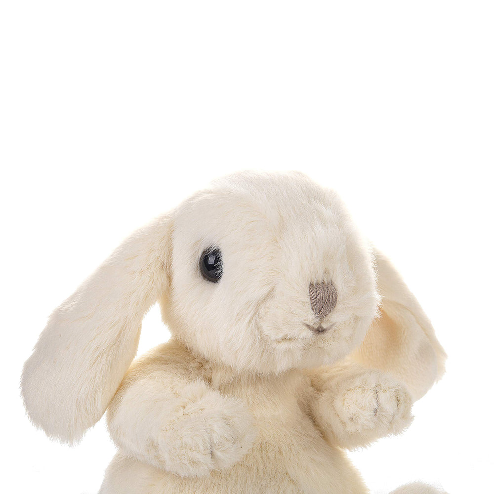 DILLY DUDU Cream Bunny packaged for gifting