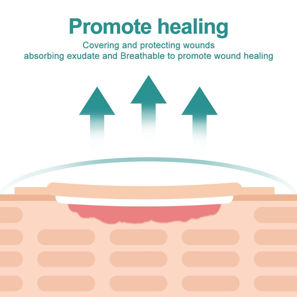 Dimora border 7x7 dressing fits moderate to high exudate wounds.