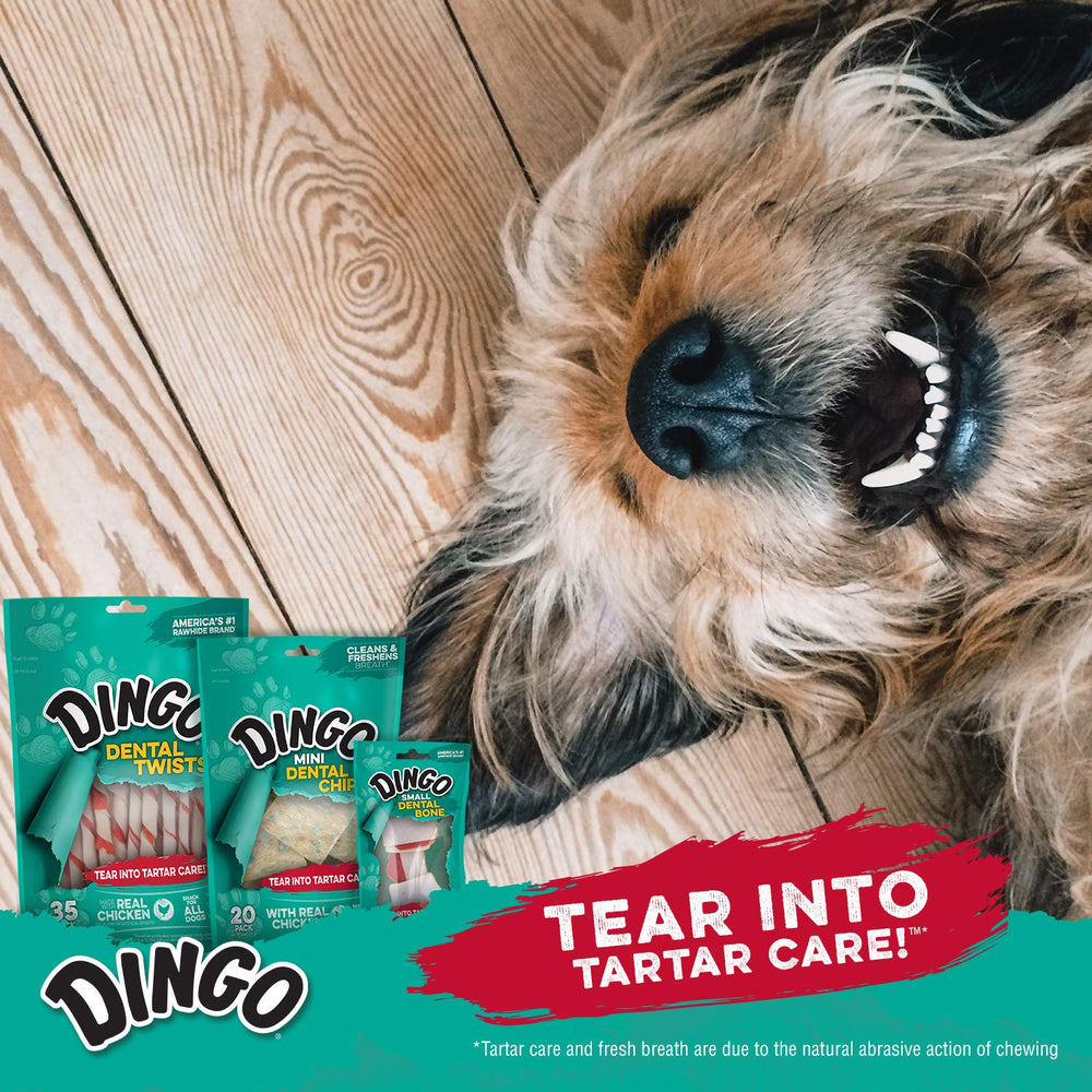Dingo Dental Sticks fresh breath focus signals aroma and breath-friendly use.