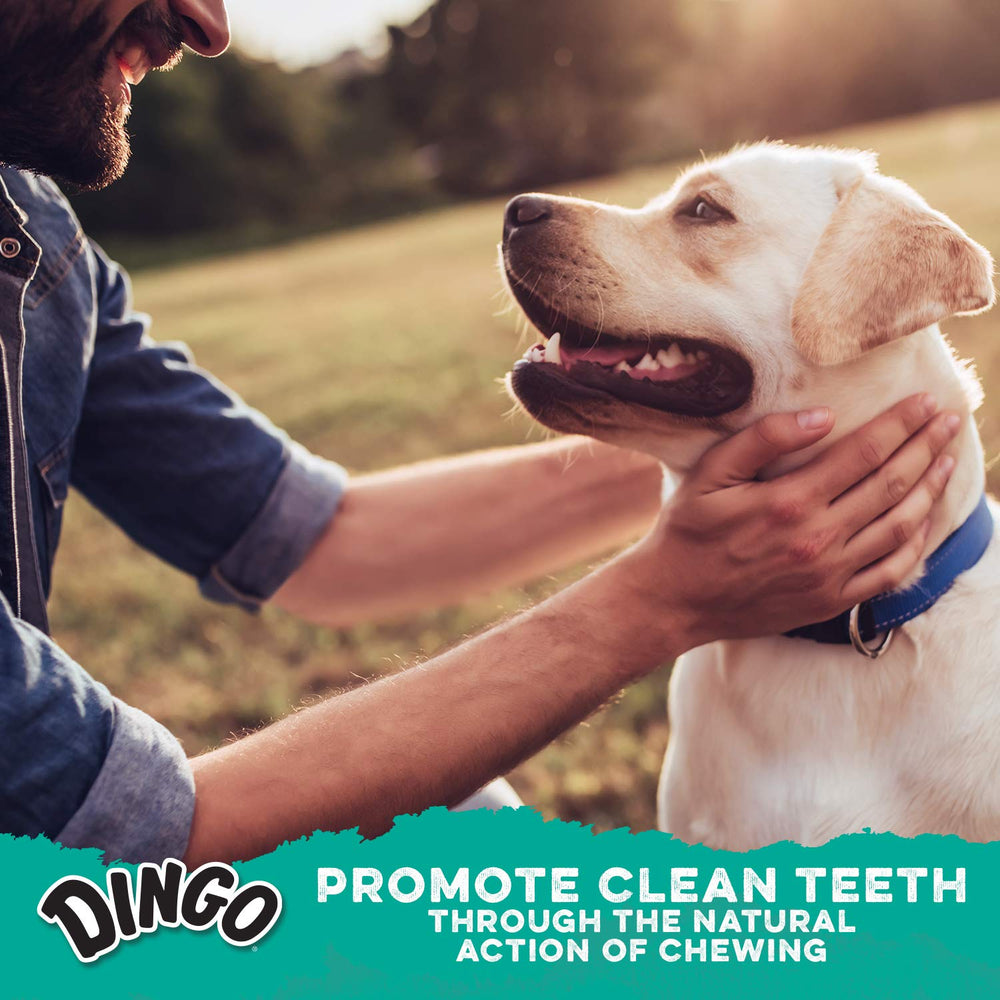 Dingo Dental Sticks resealable bag shows convenient storage for freshness.