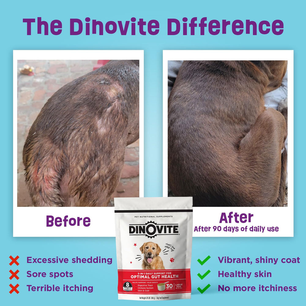 Dinovite hot spot relief for itchy dogs and seasonal irritation.