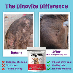 Dinovite hot spot relief for itchy dogs and seasonal irritation.