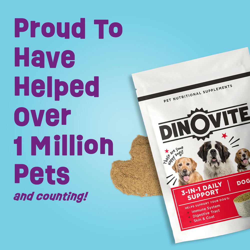 Dinovite probiotic supplement for dogs aiding gut balance