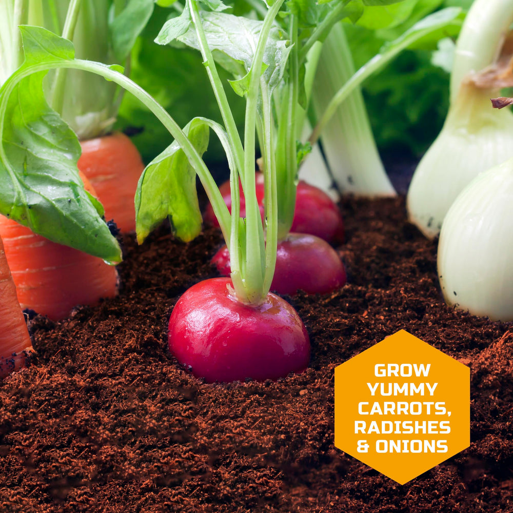 Discovery Edible Veggie Garden carrot seeds for crunchy harvests