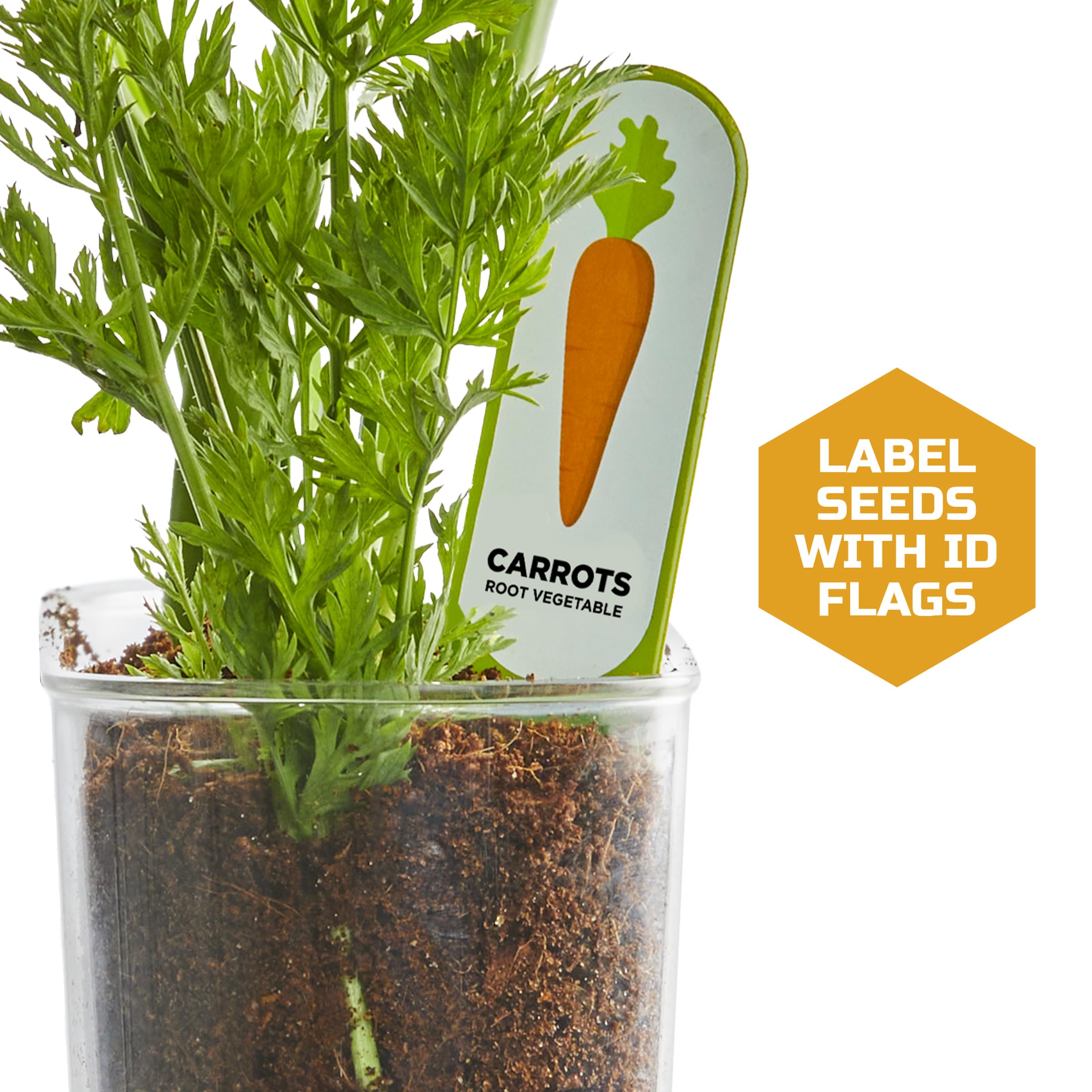 Discovery Edible Veggie Garden ruler for measuring root depth