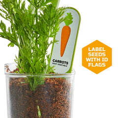 Discovery Edible Veggie Garden ruler for measuring root depth