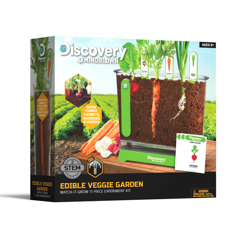 Discovery Edible Veggie Garden spring onion seeds for home flavor