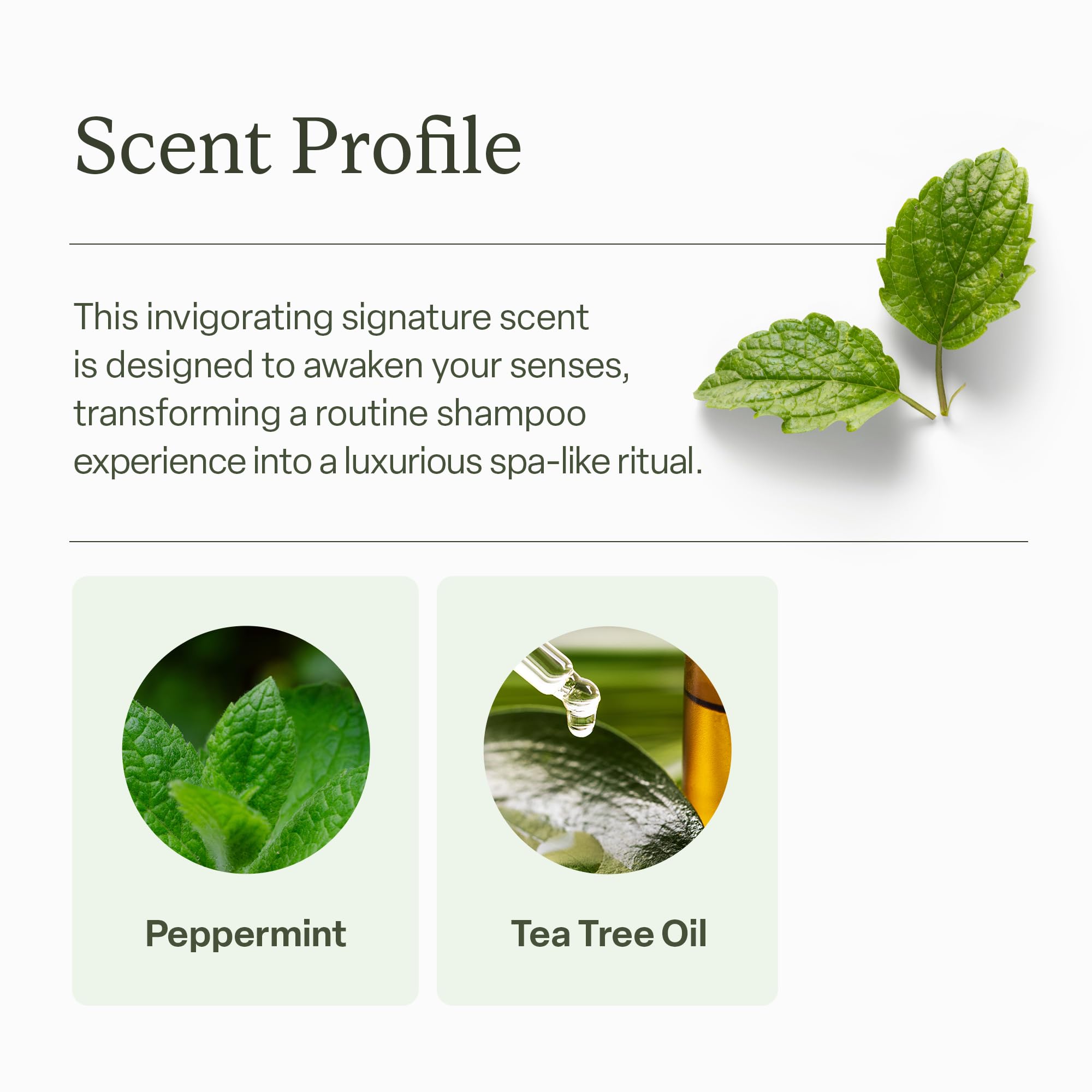 Divi Clarifying Scalp Reset back label highlights key benefits.