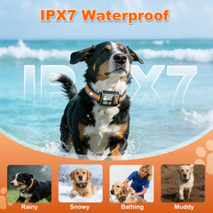 DJNFGQ IPX7 waterproof collar withstands rain and splashes