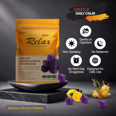 DLNIA gummies on a desk for daytime calm and focus.