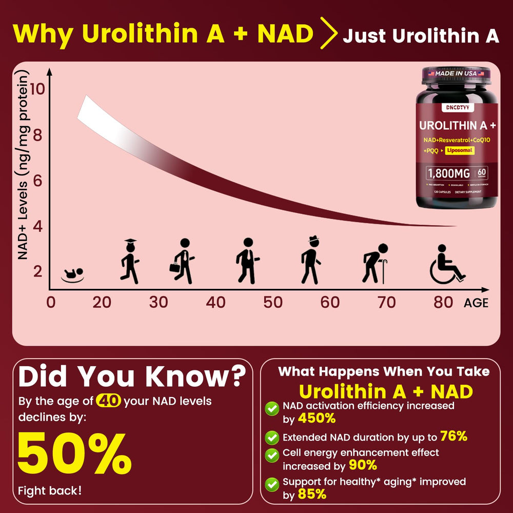 DNCDTYY energy-support capsules depicted for daily vitality.