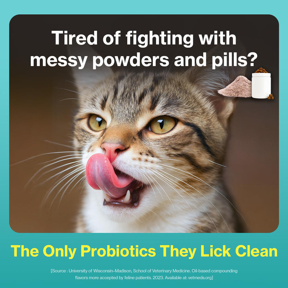 Doctor By Cat Biome pack with individually wrapped doses showcases precise daily support.