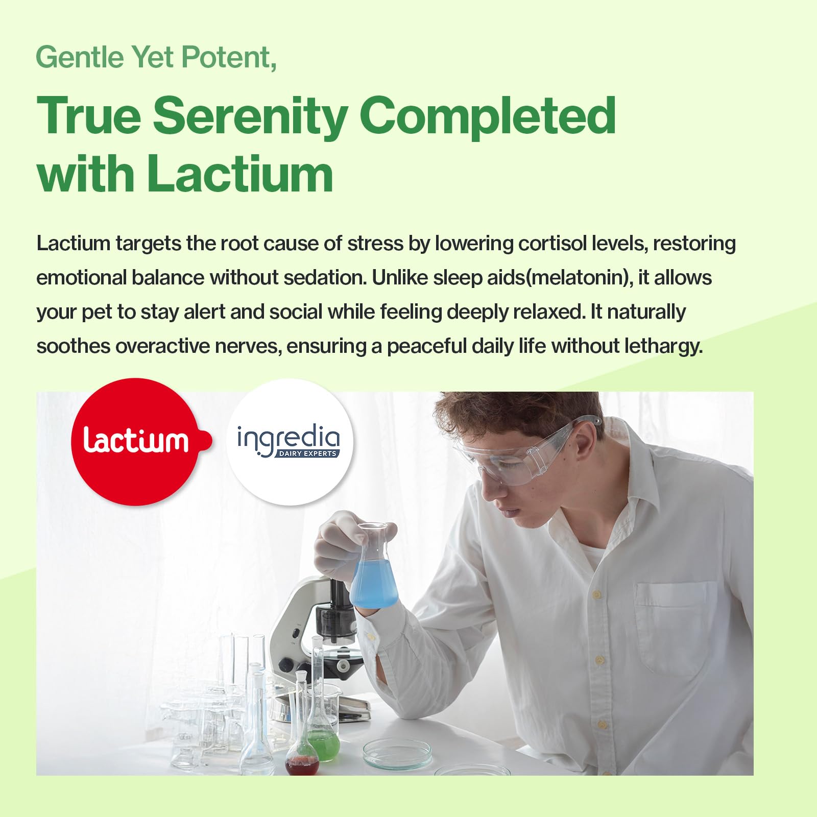 Doctor By Cat HACCP ISO manufacturing ensures consistent quality and safety.