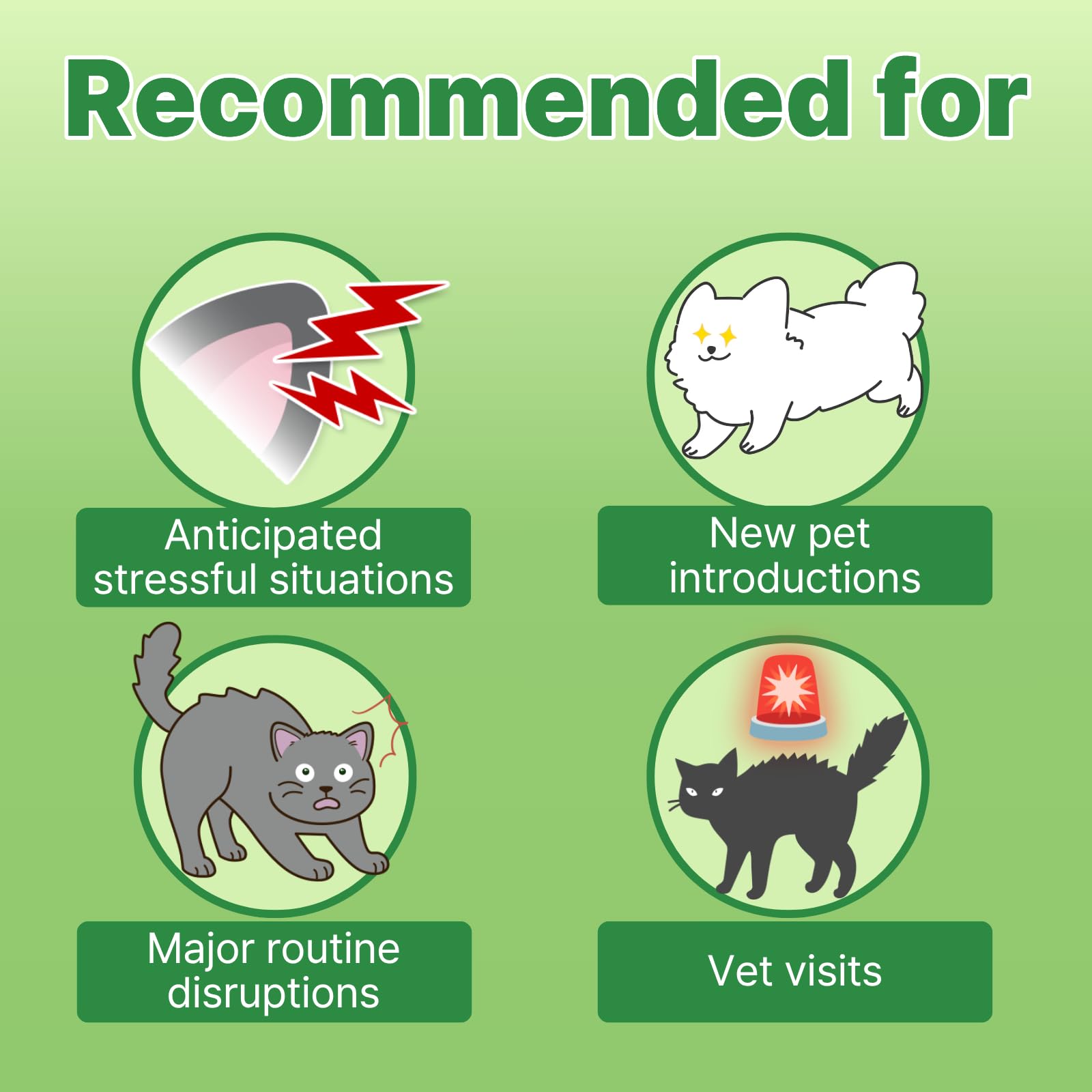 Doctor By Cat L-Tryptophan supports mood balance for a calmer routine.