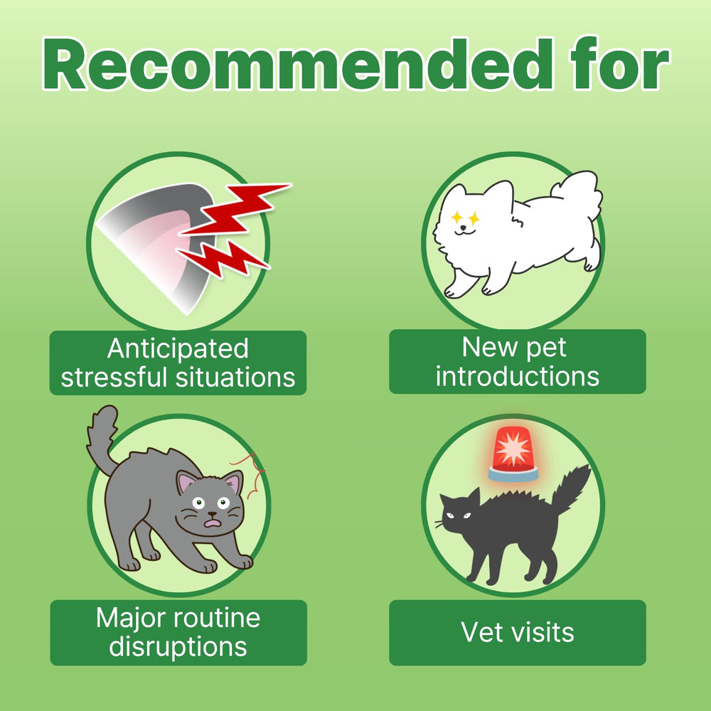Doctor By Cat L-Tryptophan supports mood balance for a calmer routine.