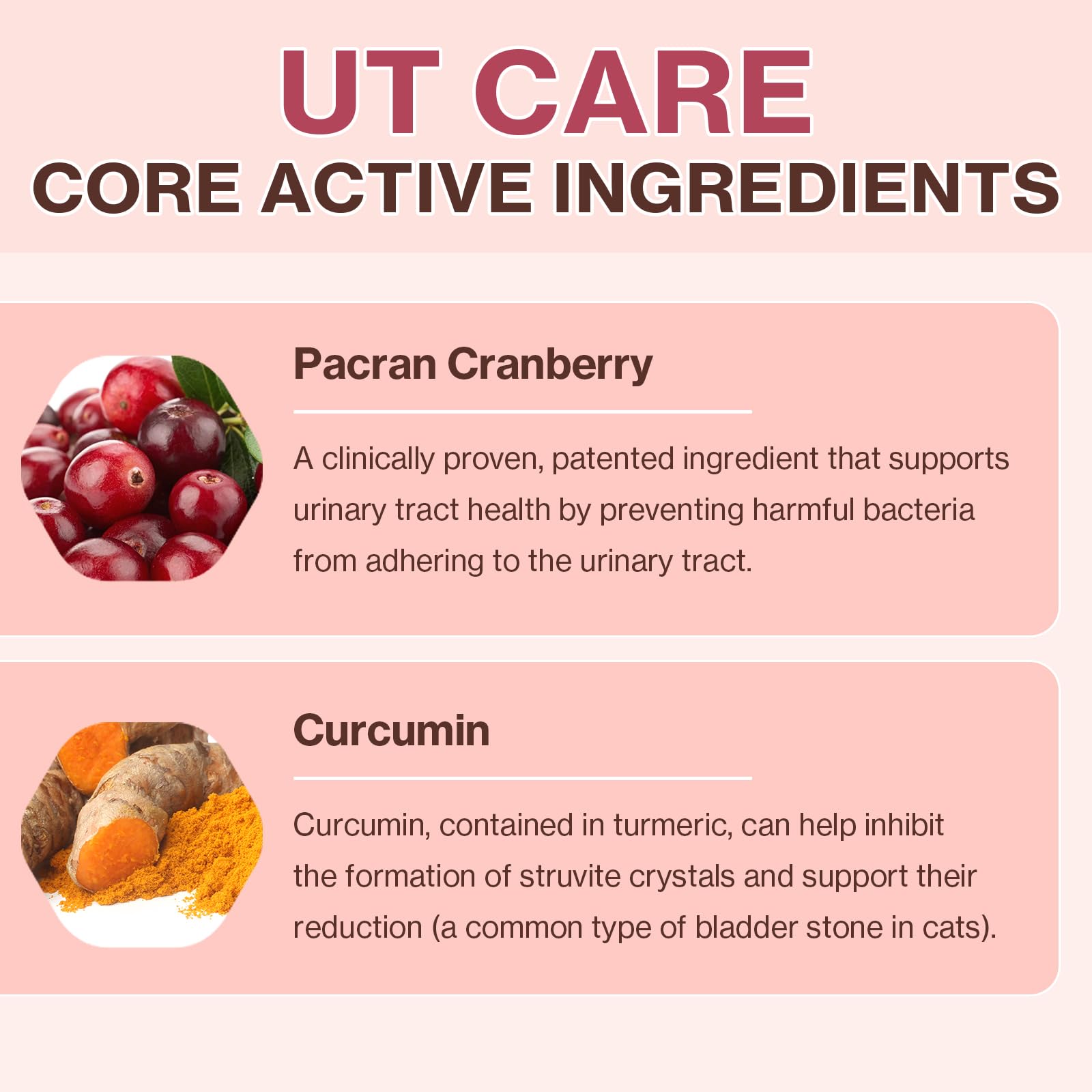 Doctor By UT Care daily serving pouch ready to offer.