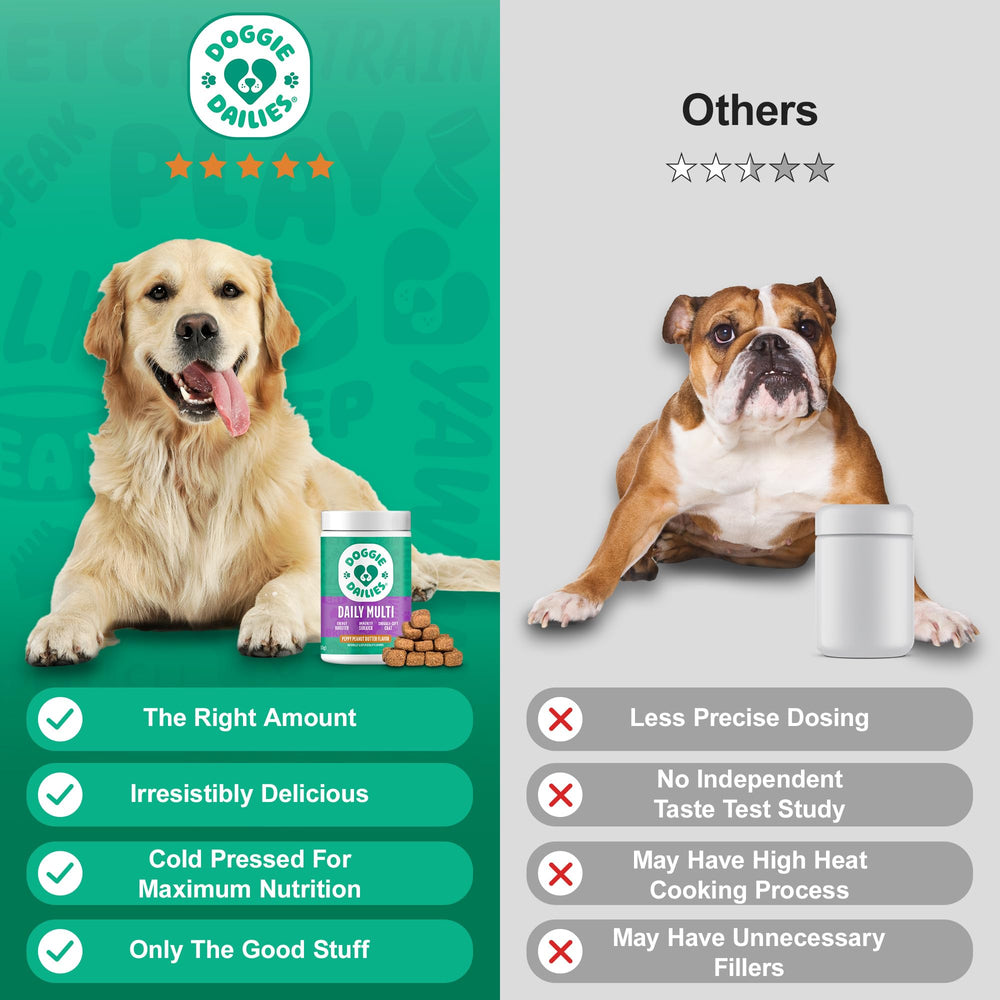 Doggie Dailies antioxidants soft chews with vitamins A C E for daily protection.