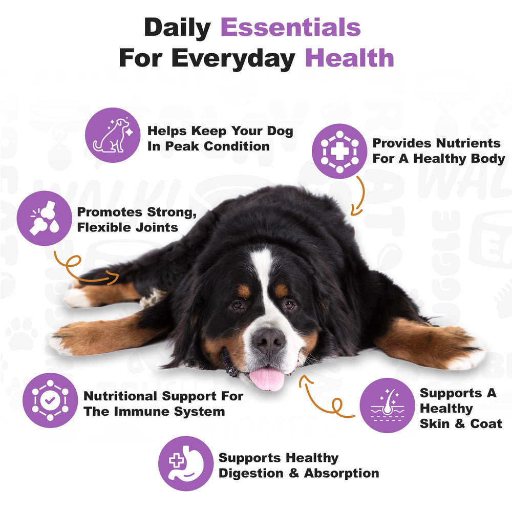 Doggie Dailies digestion support soft chews with prebiotic may aid digestion.