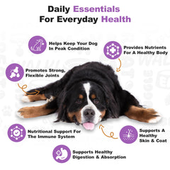 Doggie Dailies digestion support soft chews with prebiotic may aid digestion.