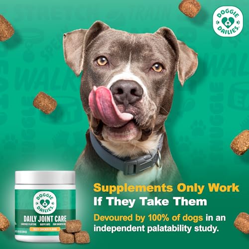 Doggie Dailies hip-joint chews bottle back shows dosage guidance for all sizes.