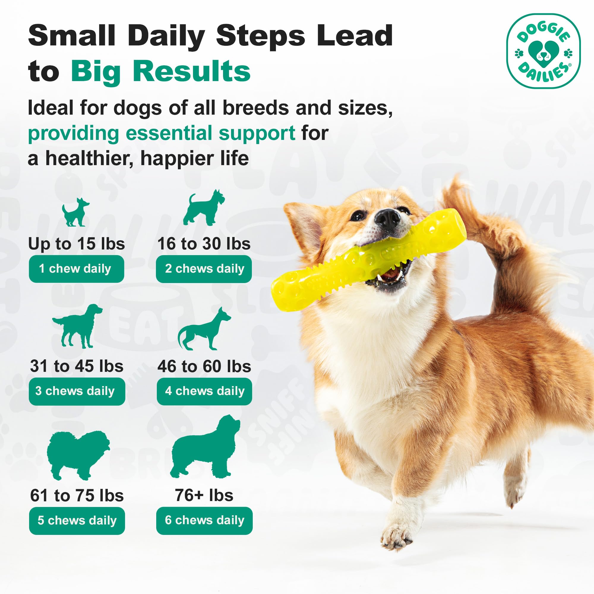 Doggie Dailies ingredients close-up highlights premium blend like MSM and omegas for joints.