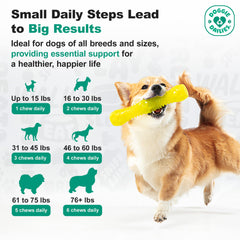 Doggie Dailies ingredients close-up highlights premium blend like MSM and omegas for joints.