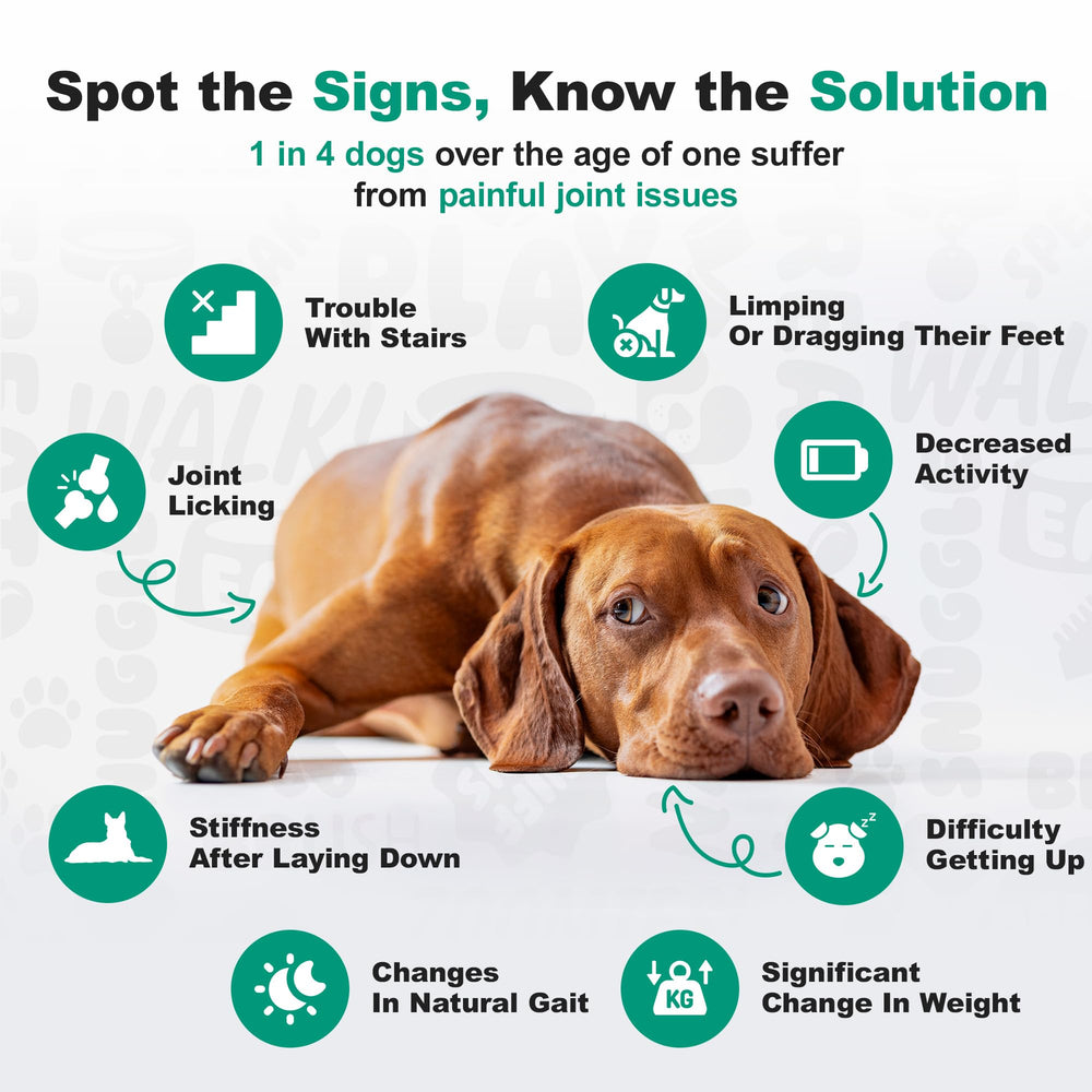 Doggie Dailies NASC-seal dog supplement backed by industry safety standards.