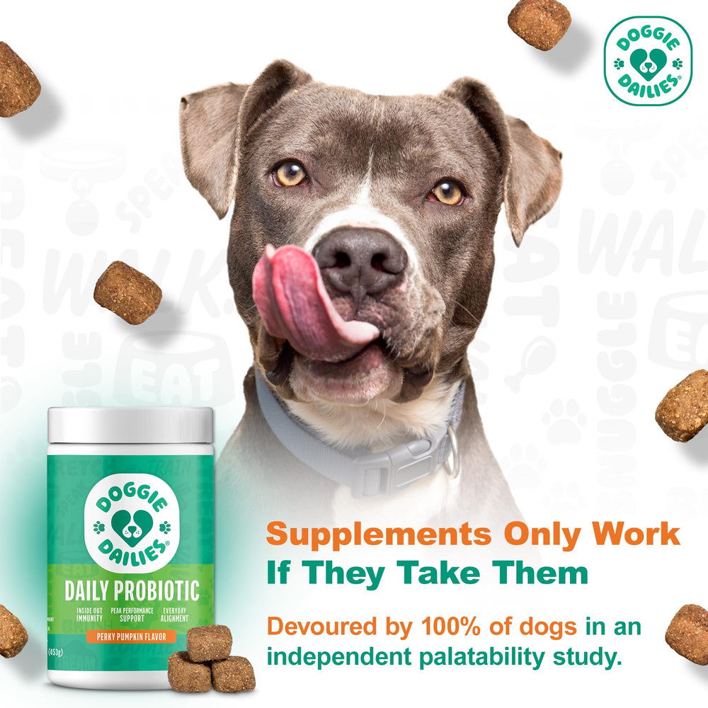 Doggie Dailies Probiotics digestive health chews in focus for daily support