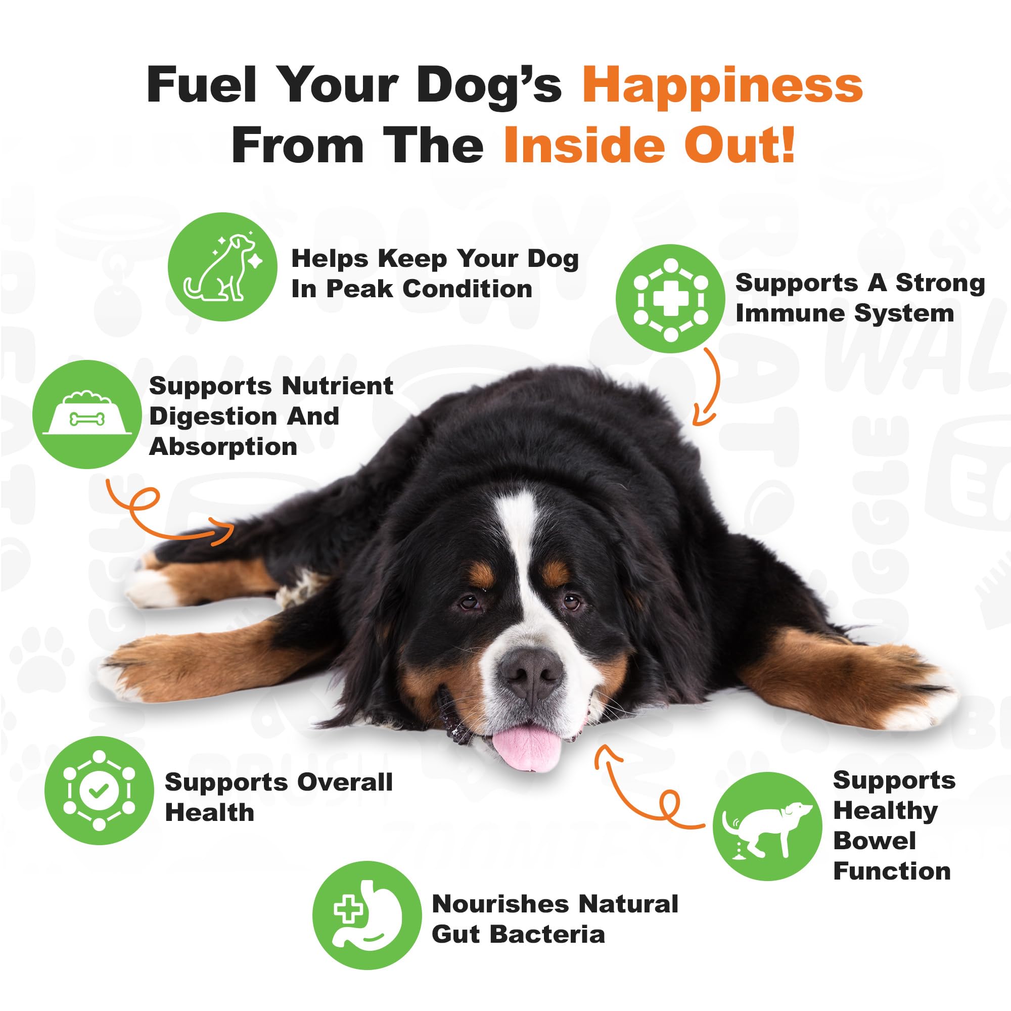 Doggie Dailies Probiotics dosing by dog size chart highlights precise amounts for different breeds