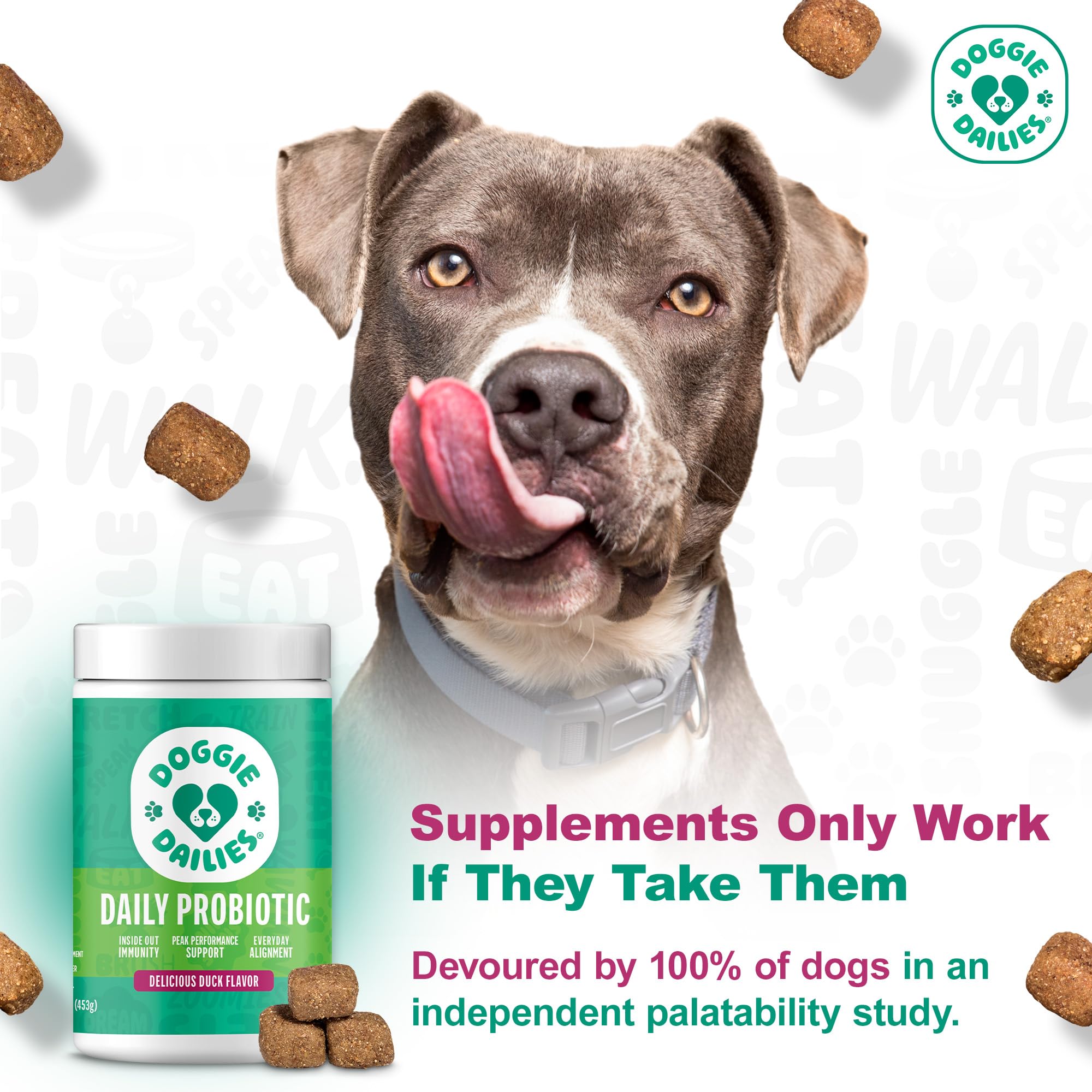 Doggie Dailies Probiotics bottle back label with dosing and gut flora notes