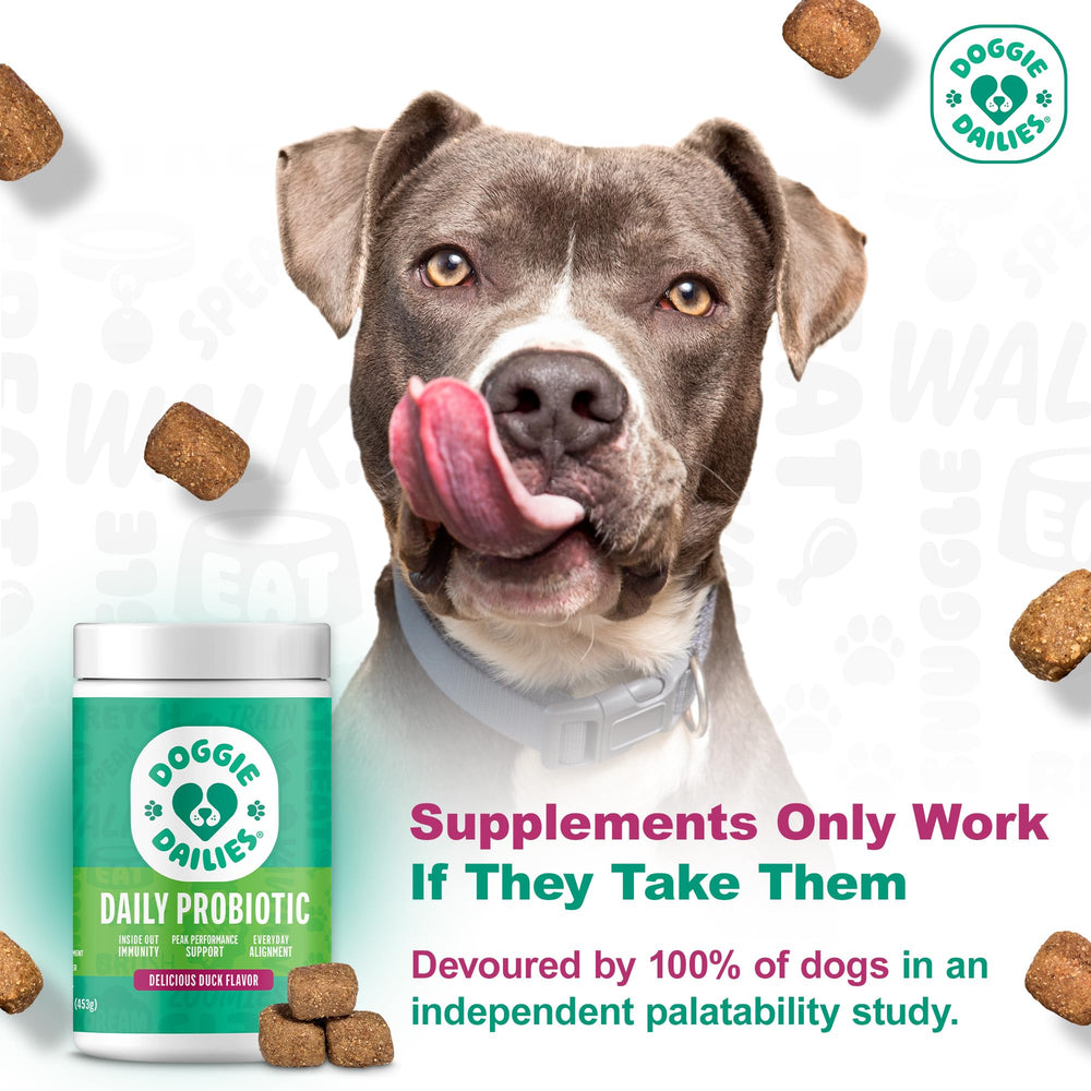Doggie Dailies Probiotics bottle back label with dosing and gut flora notes