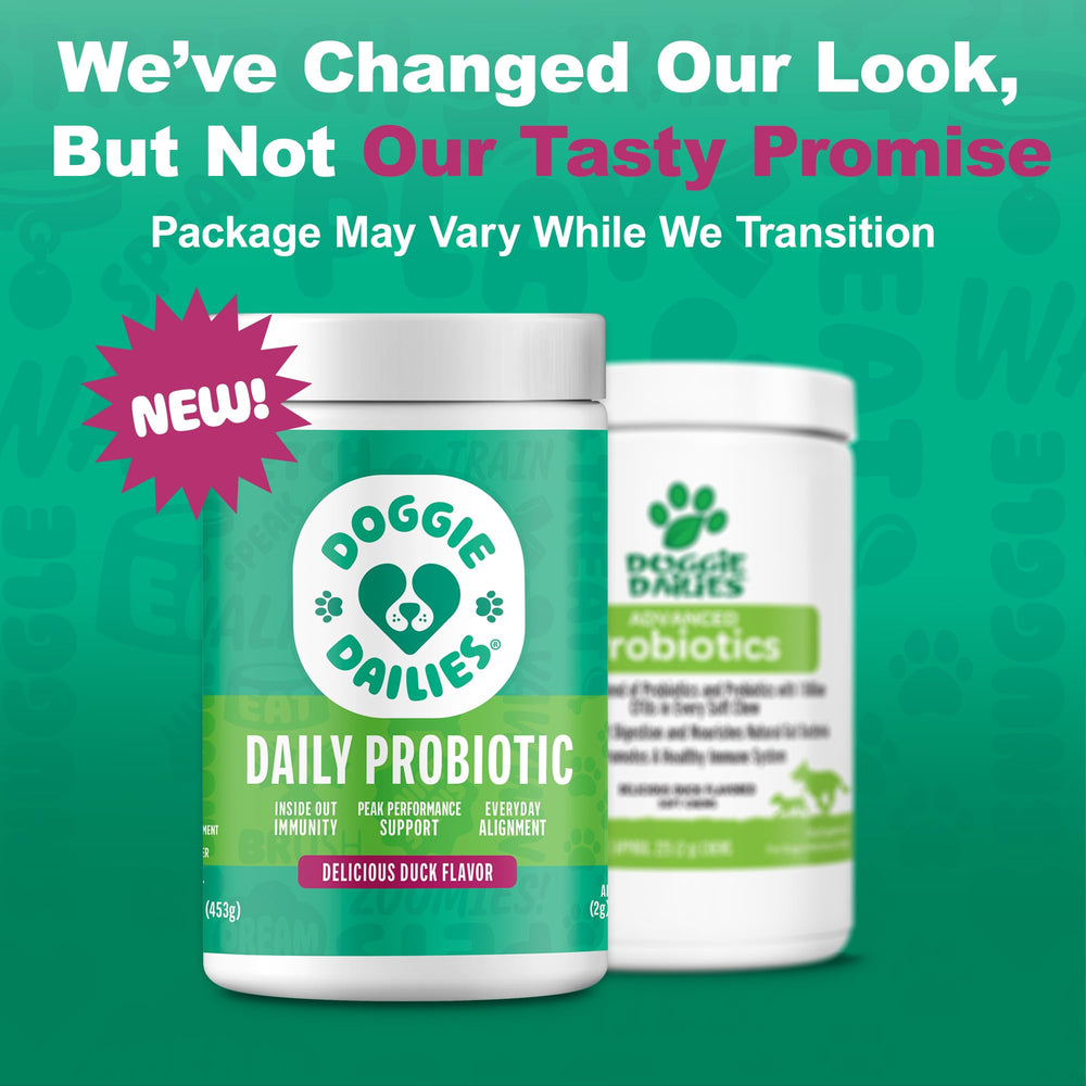 Open cap of Doggie Dailies Probiotics container