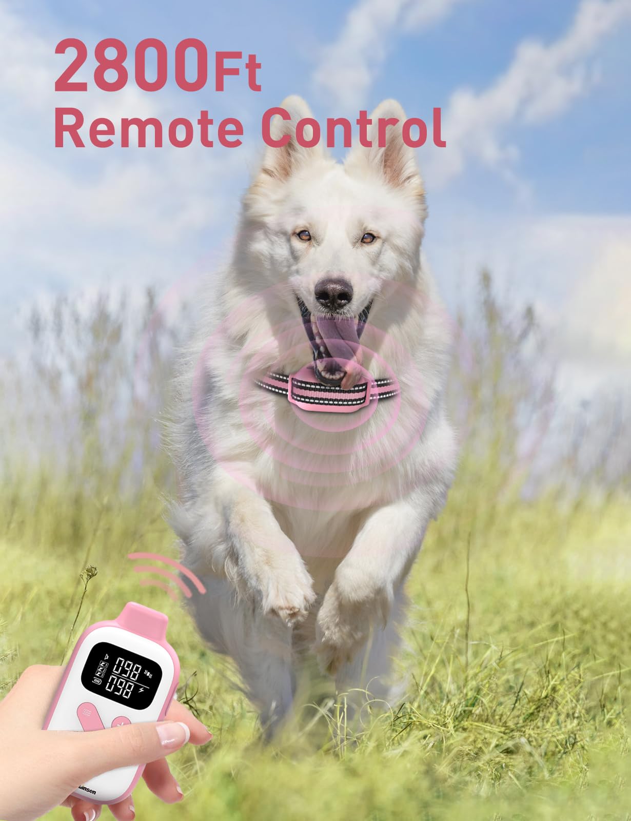 DOGLinsen remote range up to 2800 feet for outdoor training.