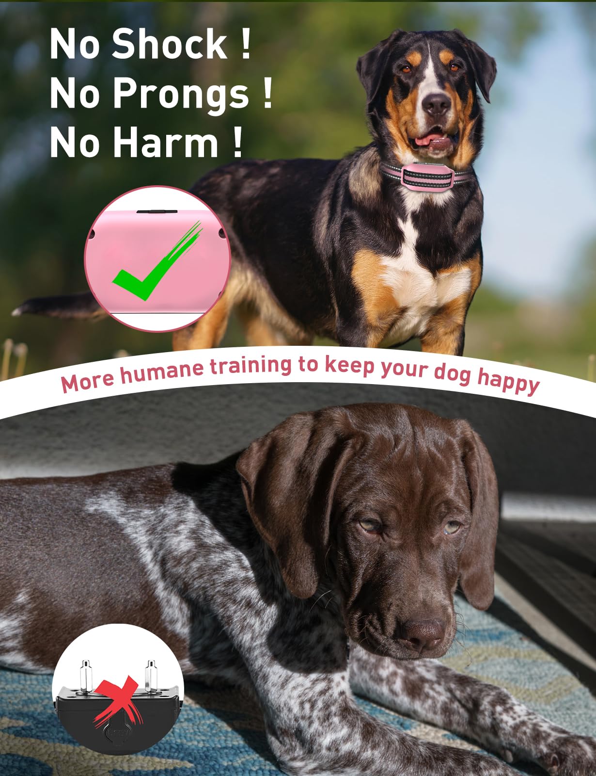 DOGLinsen collar displaying beep mode for attention cues.