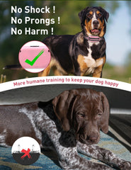 DOGLinsen collar displaying beep mode for attention cues.