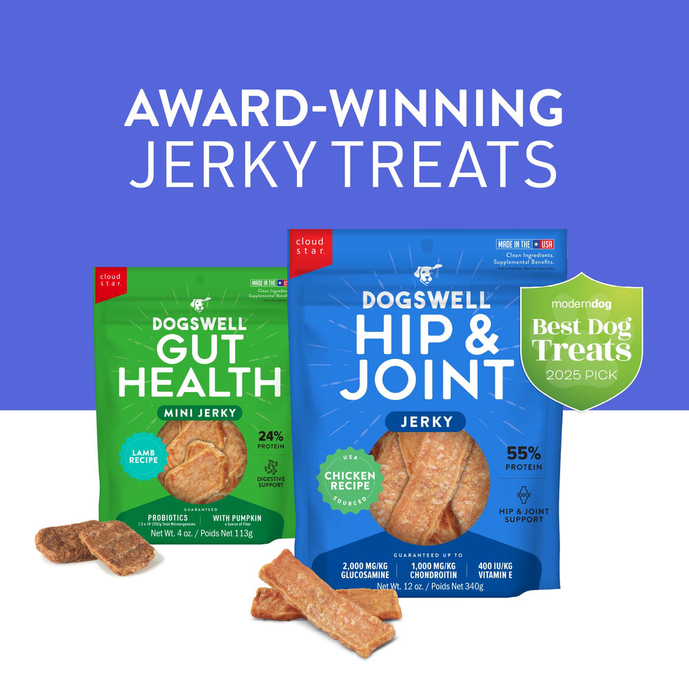 Dogswell Gut Health Mini Jerky Lamb high-protein badge on packaging.