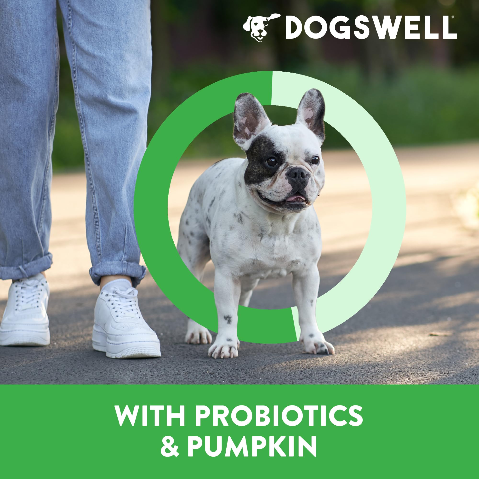 Dogswell Gut Health Mini Jerky Lamb pumpkin icon illustrating fiber-friendly snacking.