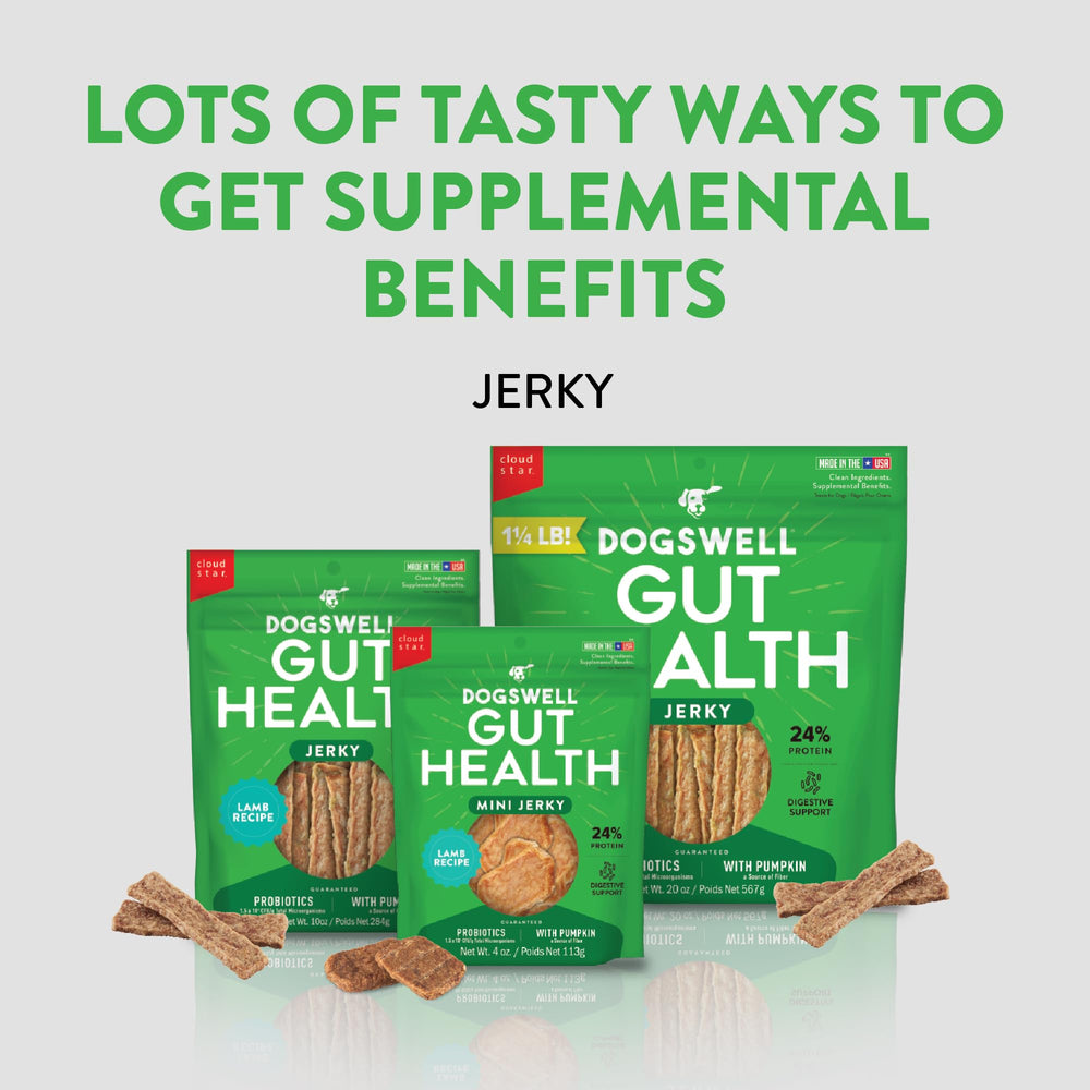 Dogswell Gut Health Mini Jerky Lamb small-dog friendly bite detail.