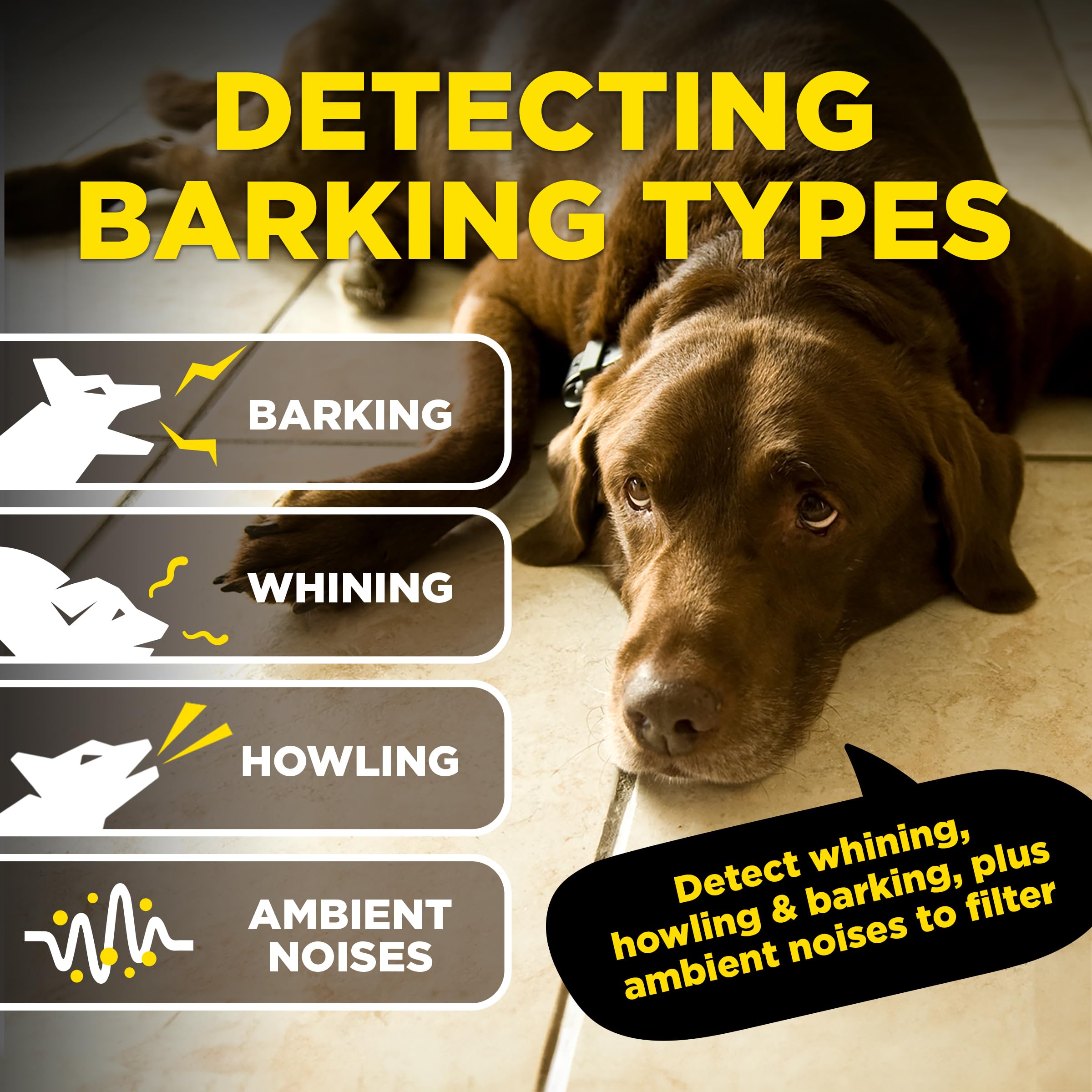 Dogtra app control delivers convenient settings within 33 ft.