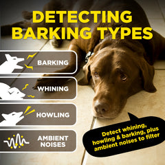 Dogtra app control delivers convenient settings within 33 ft.
