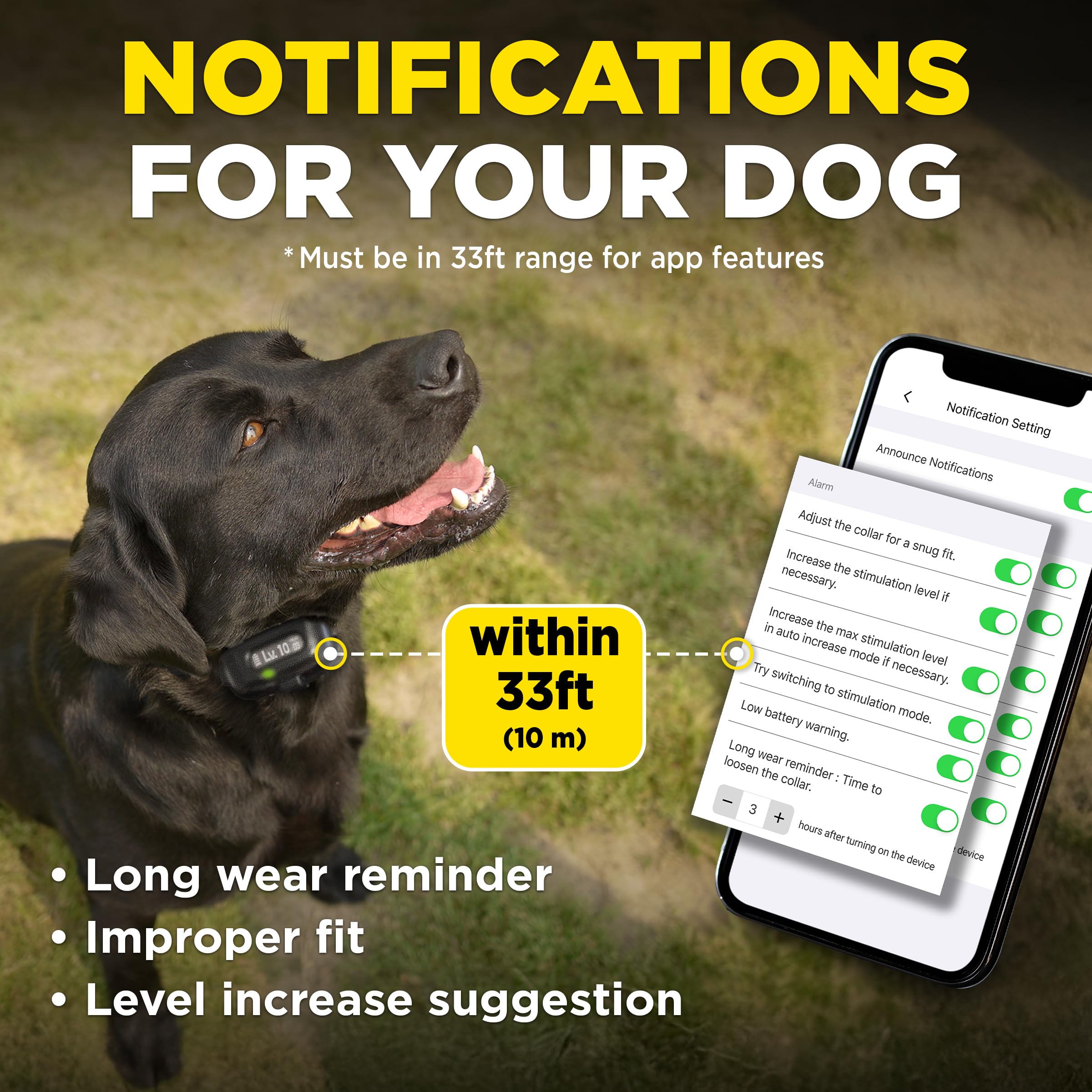 Dogtra Barkmeter reports track progress over time.