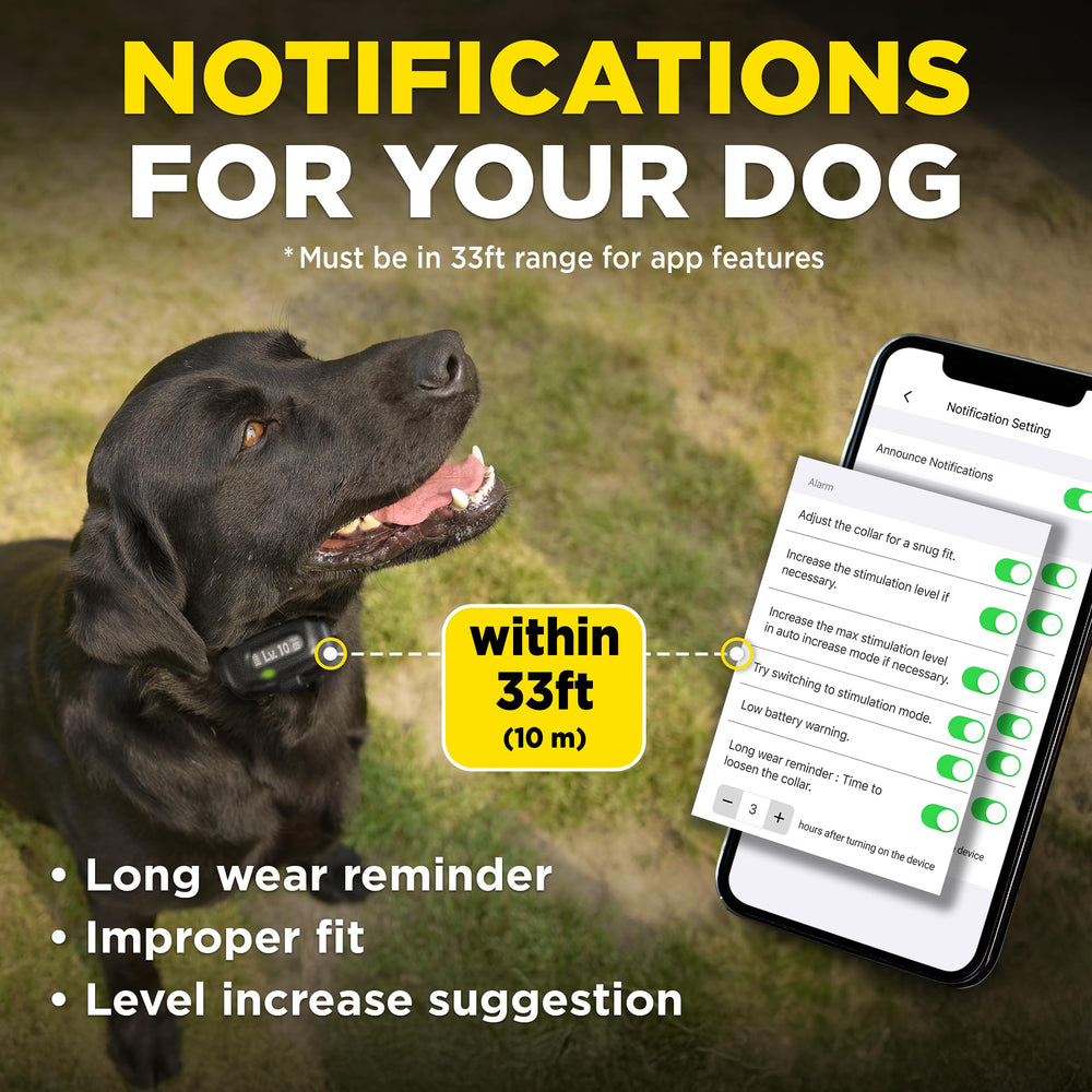 Dogtra Barkmeter reports track progress over time.