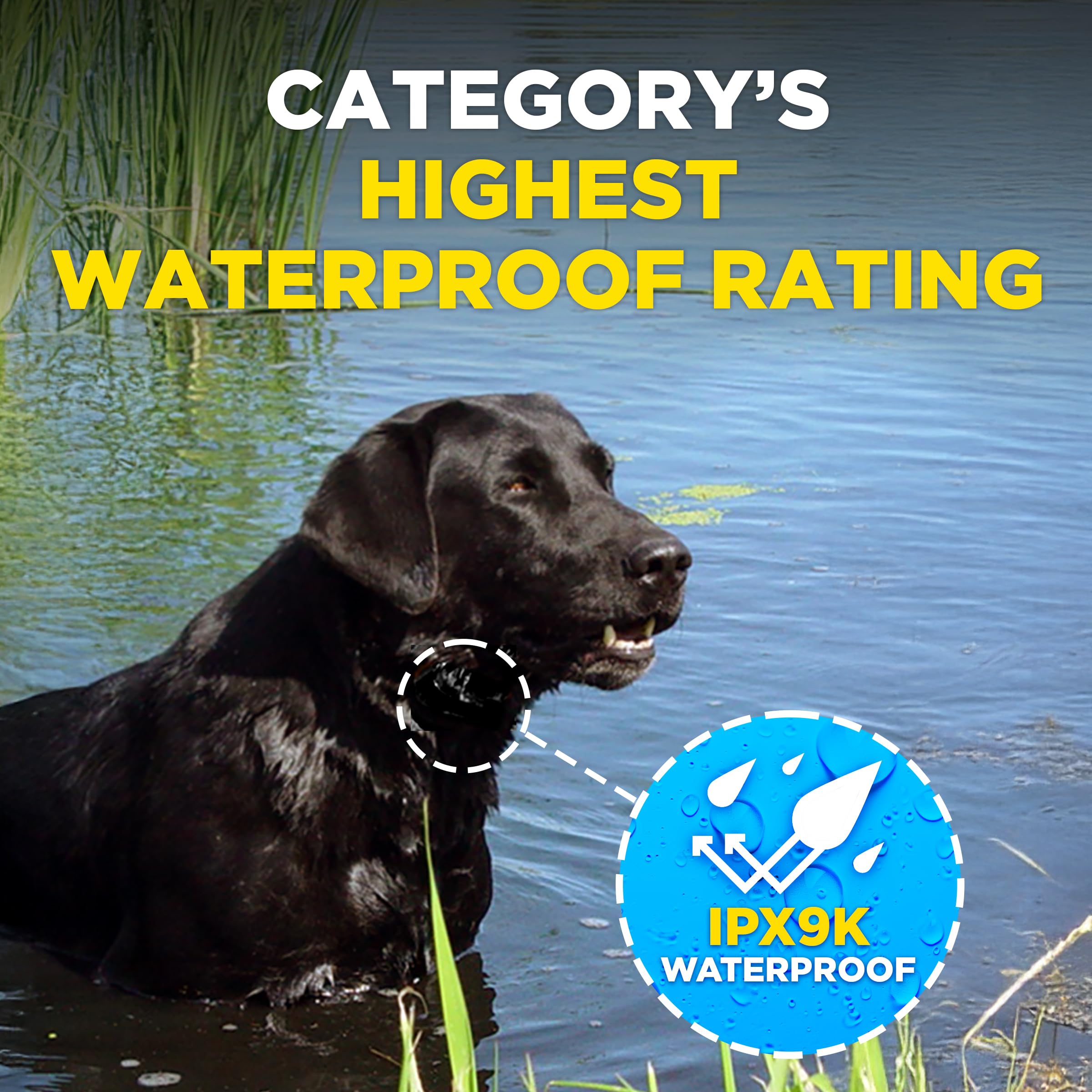 Dogtra Compact design fits small 10 lb dogs.