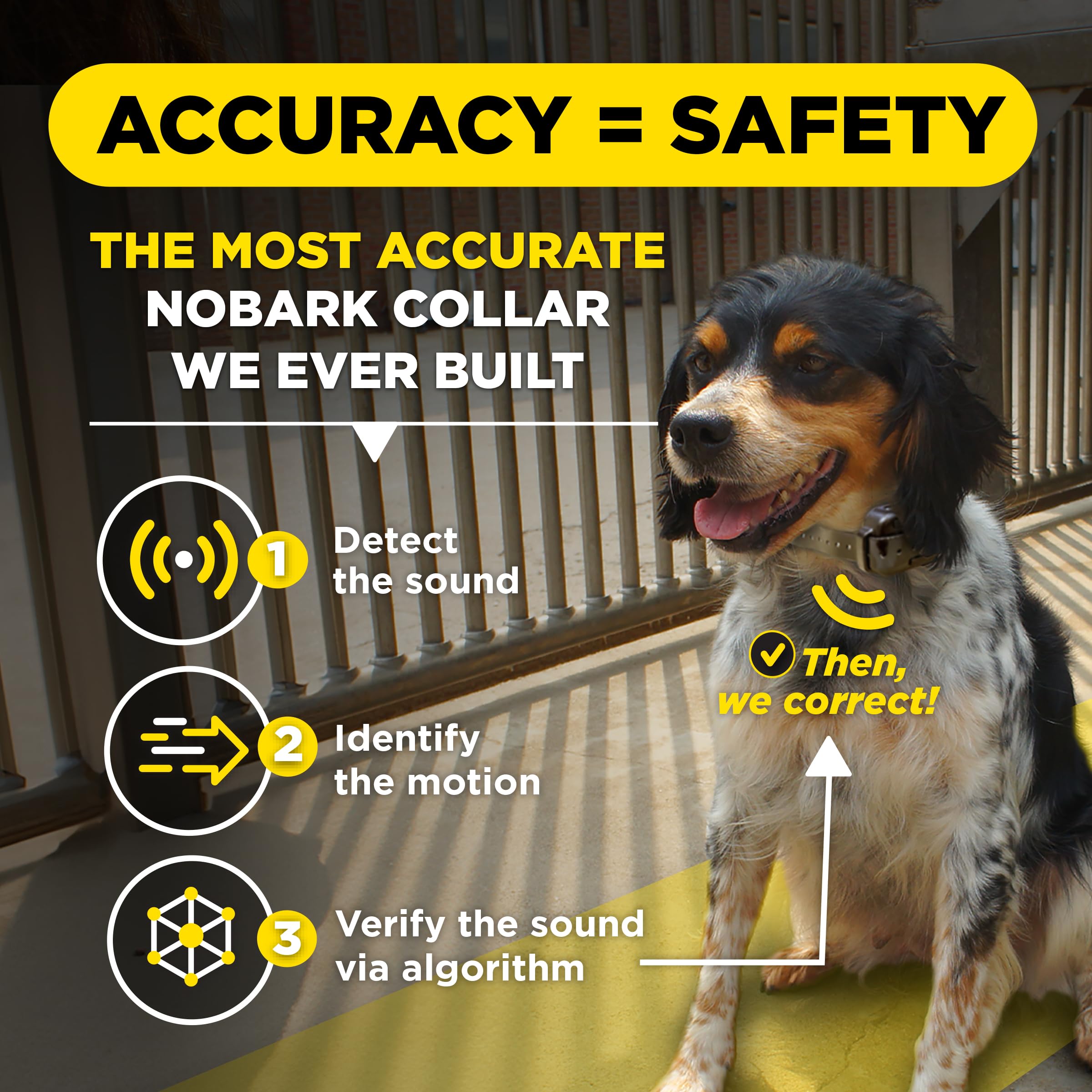 Dogtra e-collar correction modes offer customizable behavior shaping.