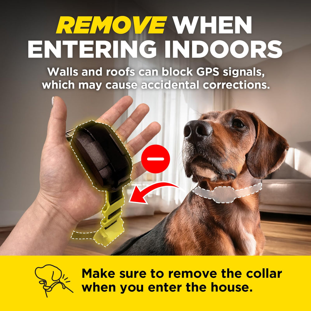Dogtra GPS Fence IPX9K waterproof collar for reliable outdoor use