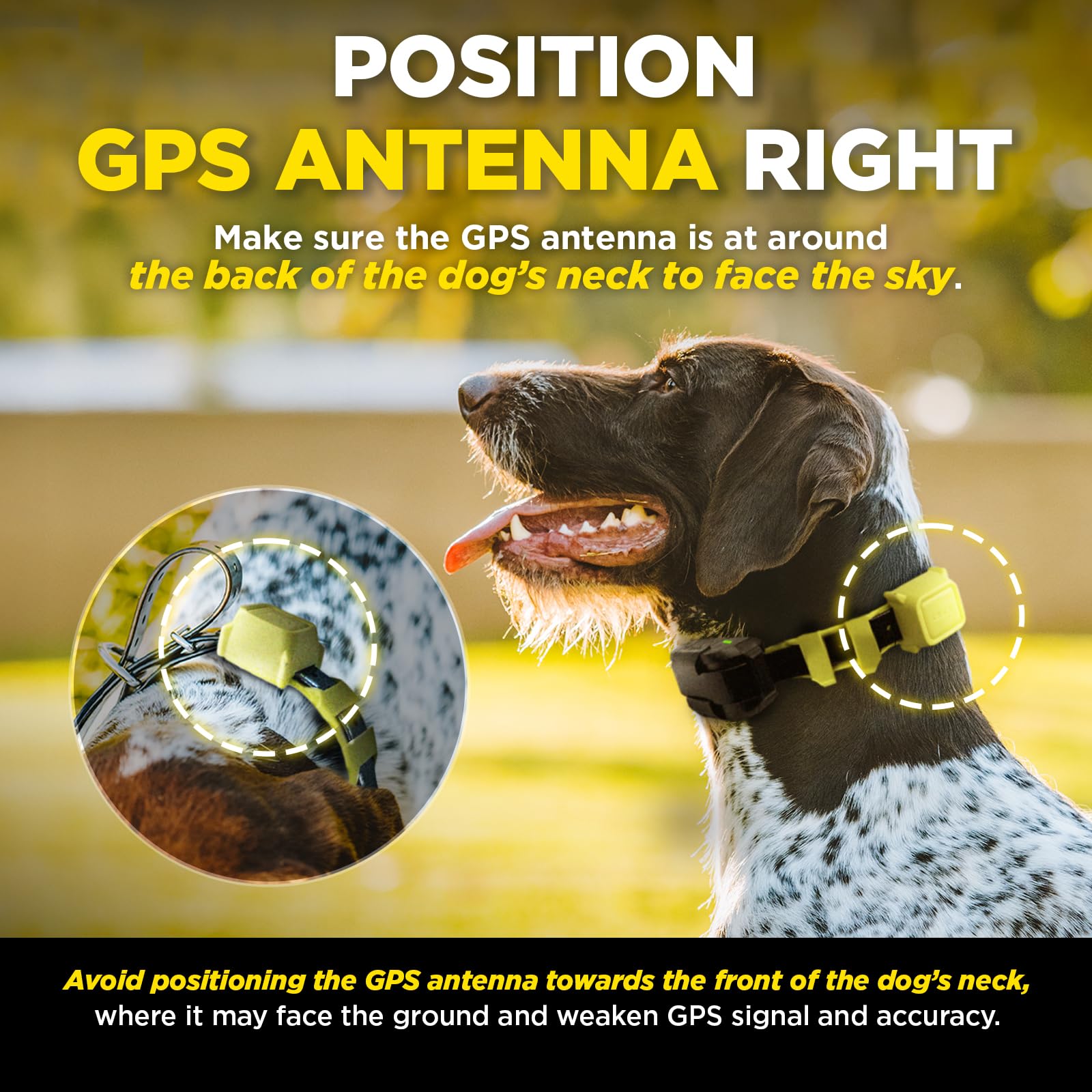 Dogtra GPS Fence multi-dog ready feature with shared fence profile