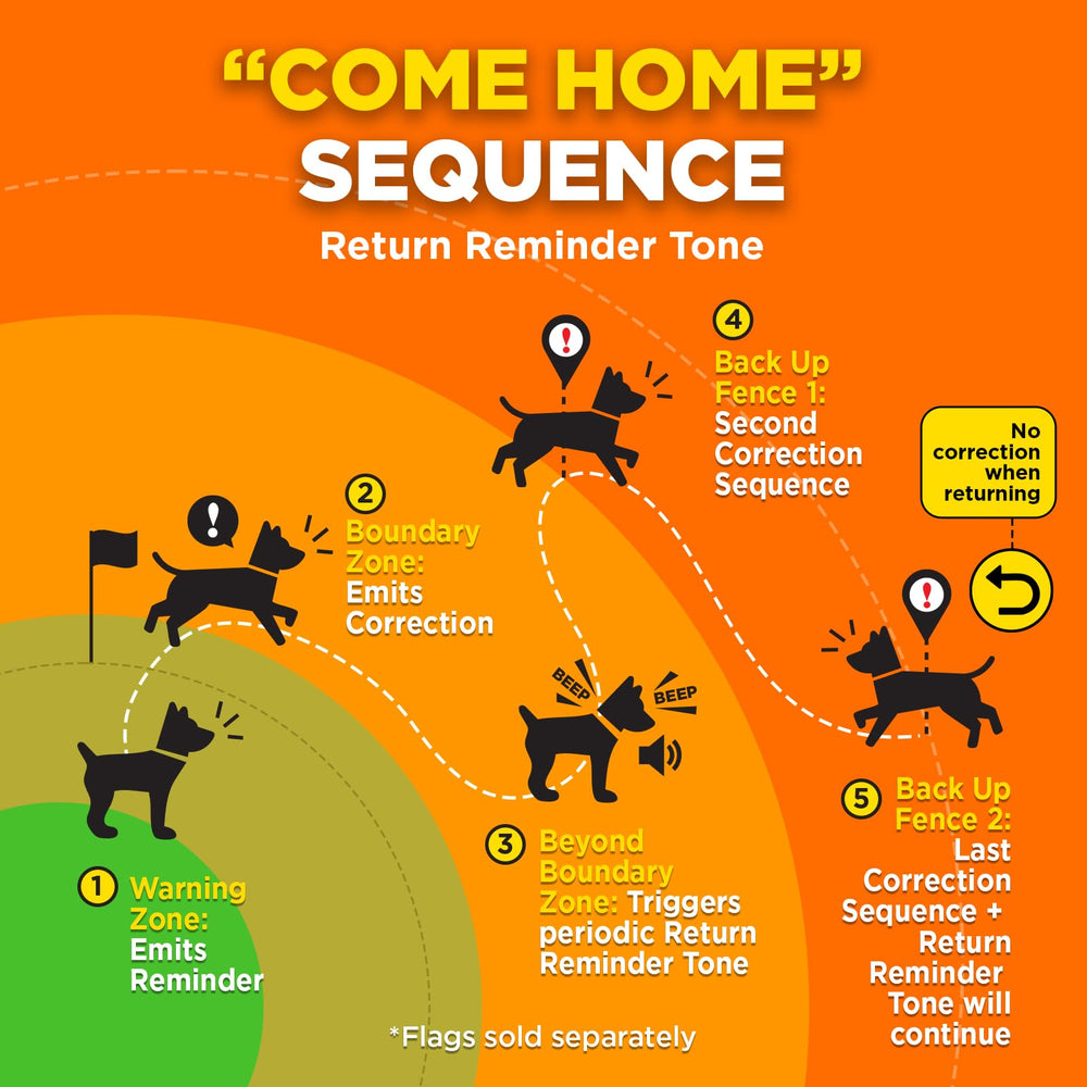 Dogtra GPS Fence no-wires setup highlighting quick, mess-free installation
